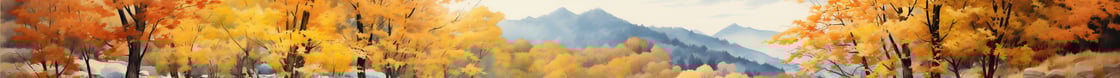 fall divider2