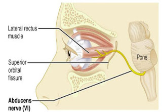 image (44)