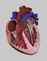 Most Missed: Pediatric Infective Endocarditis (FM Boards)